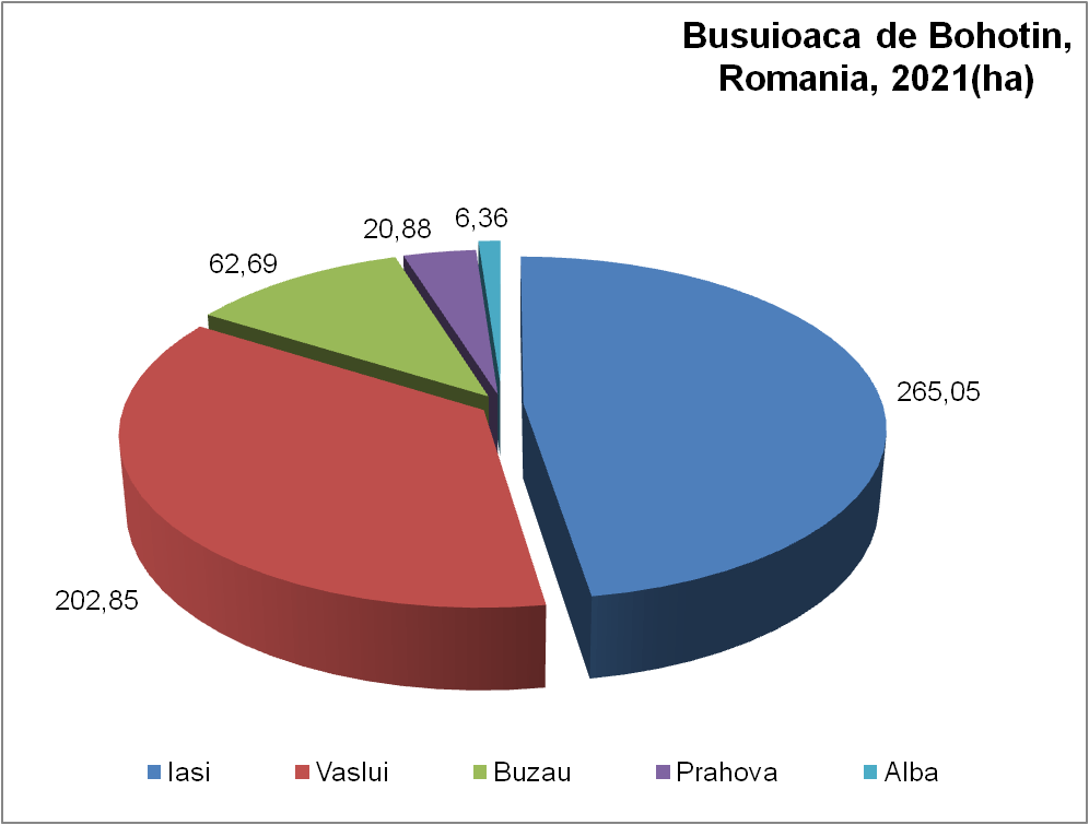 Busuioaca de Bohotin