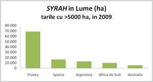 Suprafata plantata cu Syrah