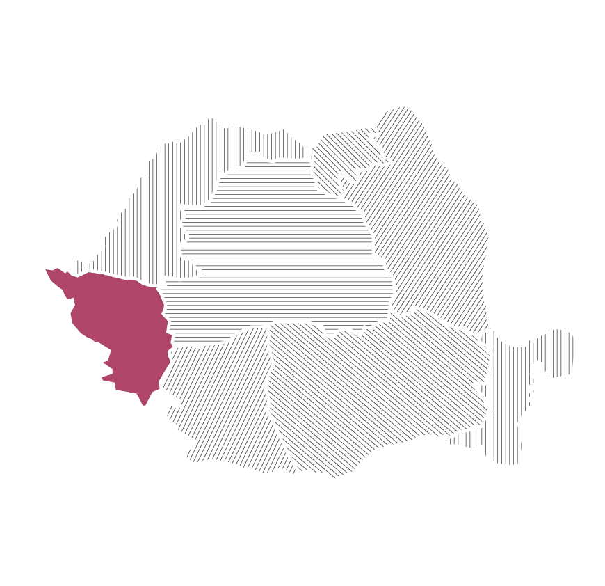 regiunea-banat