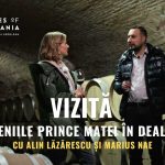 Domeniile Prince Matei