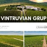 Vintruvian