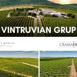 Vintruvian