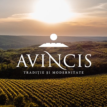 banner_Avincis-F (1)