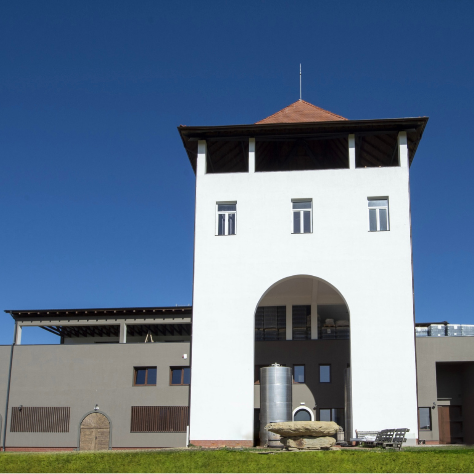 Villa Vinea