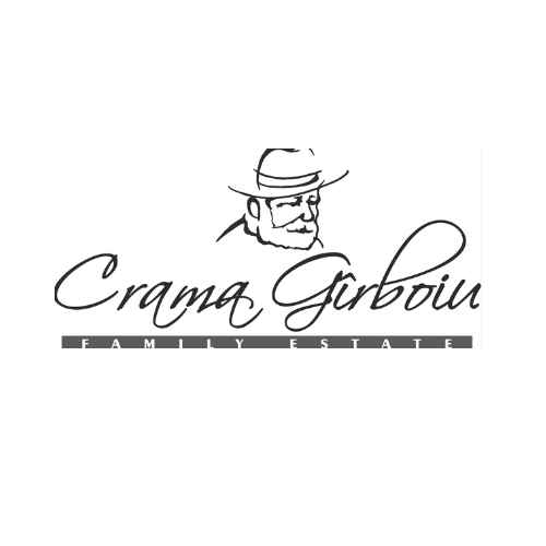 logo (1)