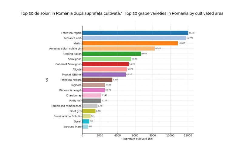 Grafic cu primele 20 de soiuri cultivate în România: Fetească Regală 12.037 ha, Fetească Albă 11.775 ha, Merlot 10.865 ha, Riesling italian 6.664 ha, Pinot Noir 2.126 ha etc.