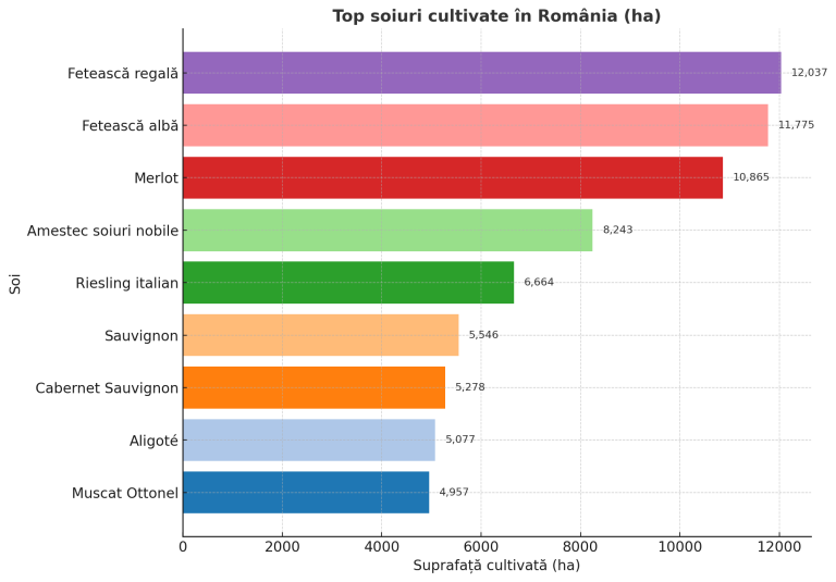 Grafic cu top soiuri de struguri cultivați în România, în hectare