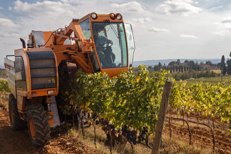 Mașină agricolă pentru recoltarea strugurilor în vie