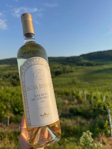 Sticlă de Galbenă de Odobești, vin alb sec de la Beciul Domnesc, ținută în lumină naturală în mijlocul viilor din Vrancea