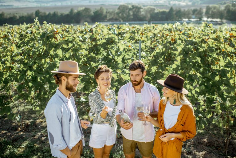 Grup de prieteni degustând vin alb într-o podgorie românească, într-o zi însorită de vară.
